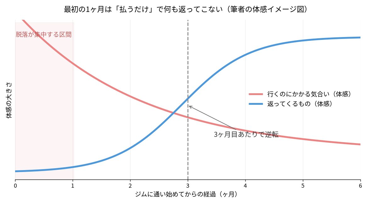 ジムに通い始めてからの労力と見返りの推移を示したイメージ図